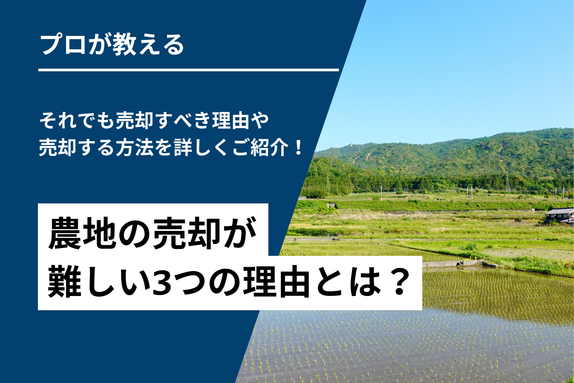 農地の売却が難しい3つの理由とは？それでも売却すべき理由や売却する方法を詳しくご紹介！